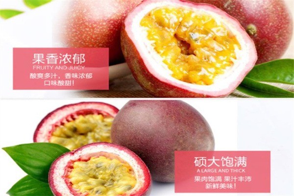 果樂(lè)匯加盟