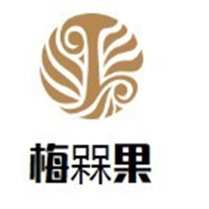梅槑果休閑零食加盟