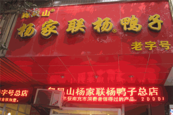 楊家聯(lián)楊鴨子加盟