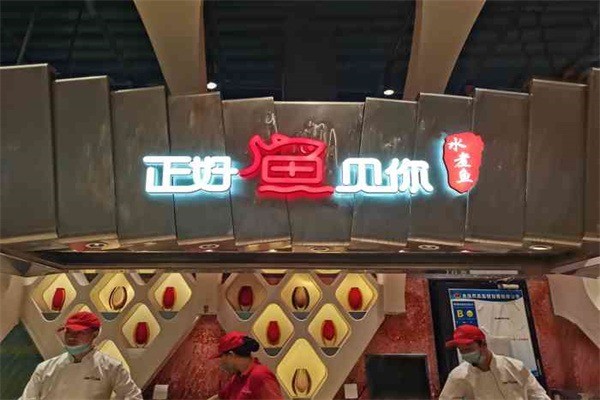 正好魚見你加盟