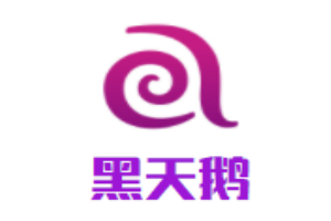 黑天鵝內(nèi)衣加盟