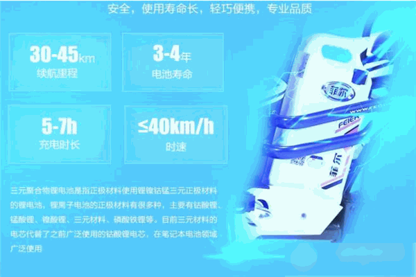 菲爾電動車加盟