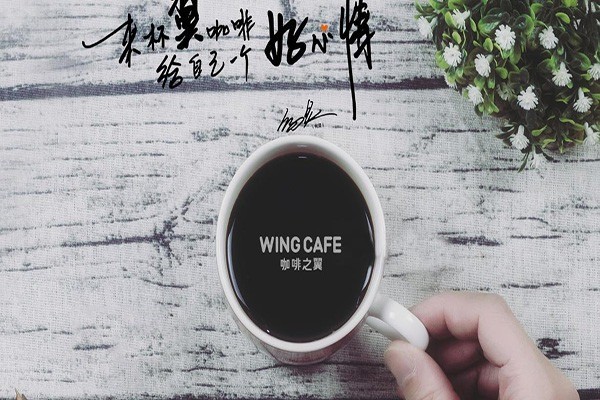咖啡之翼自動咖啡機加盟