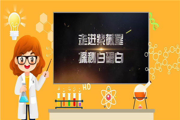 紫微星理療儀加盟