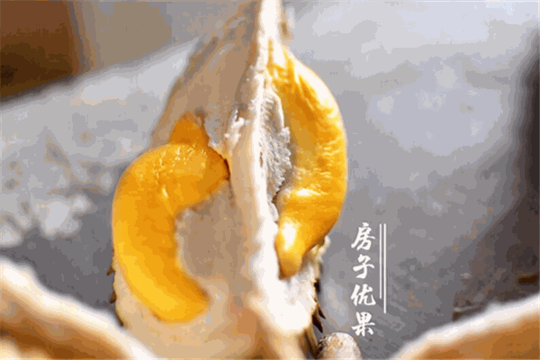 房子優(yōu)果加盟