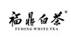 福鼎白茶加盟