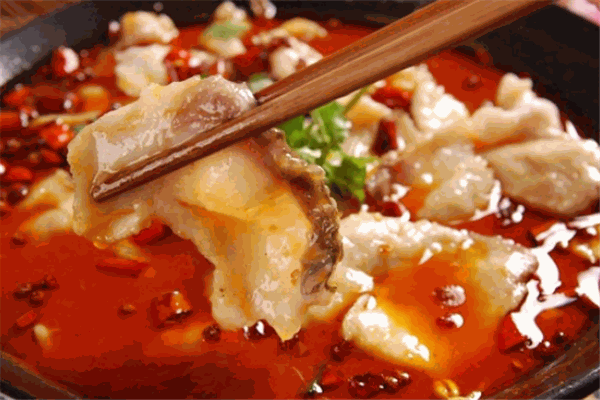 趙衛(wèi)彬片片魚加盟