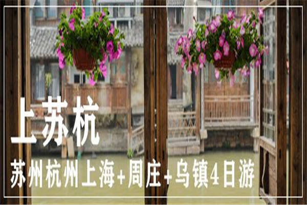 大華國(guó)旅加盟