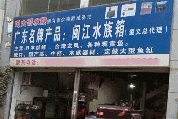 閩江水族加盟