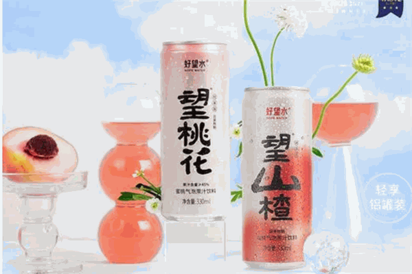 康佳飲料加盟
