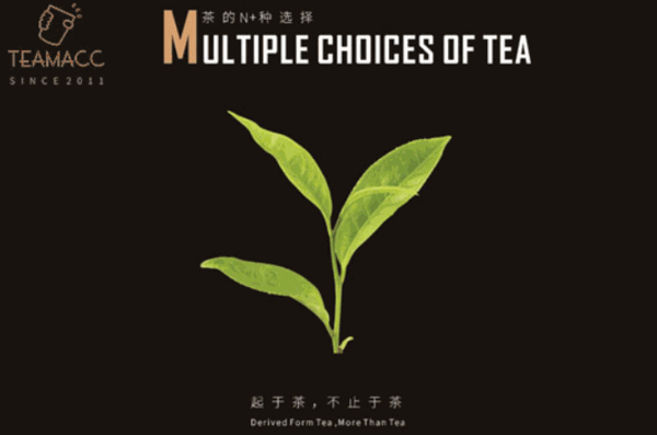 茶瑪TEAMACC