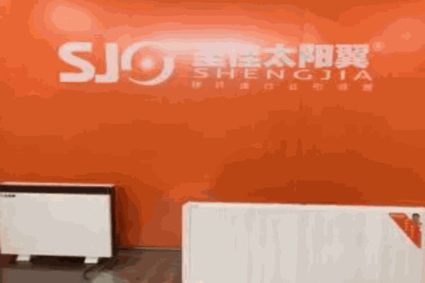 圣佳太陽翼