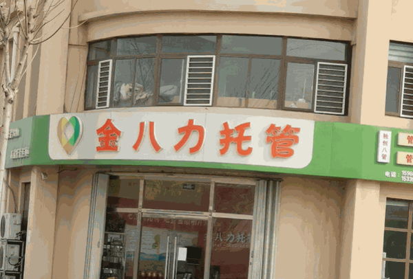 金八力托管