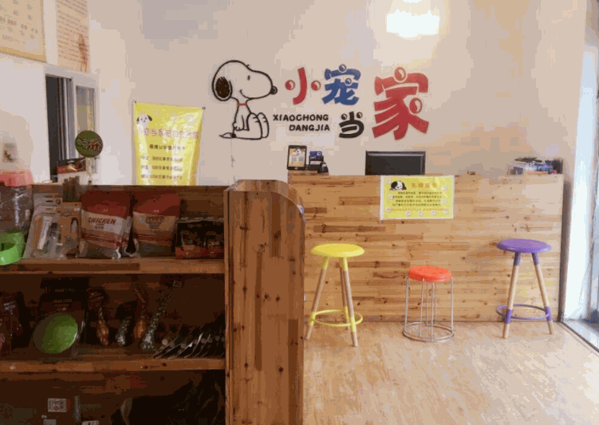 小寵當家寵物店