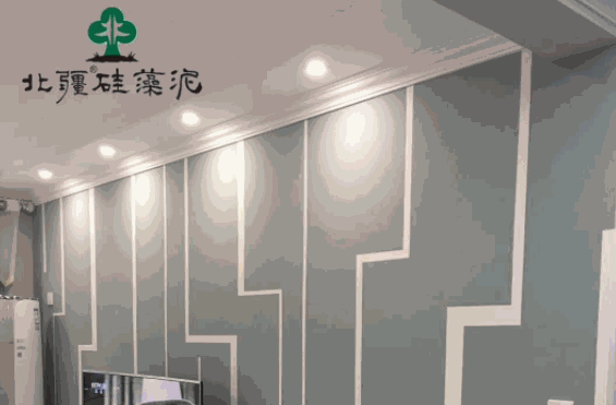 北疆硅藻泥