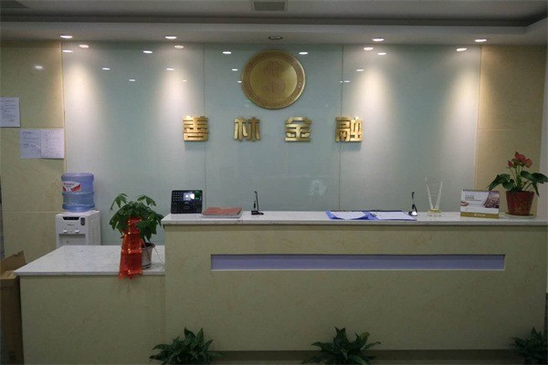 善林金融