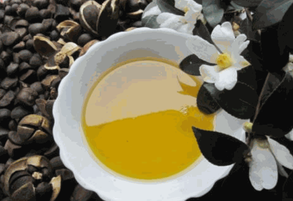 龍騰油茶籽油