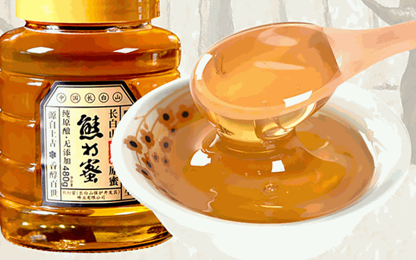 熊打蜜蜂蜜