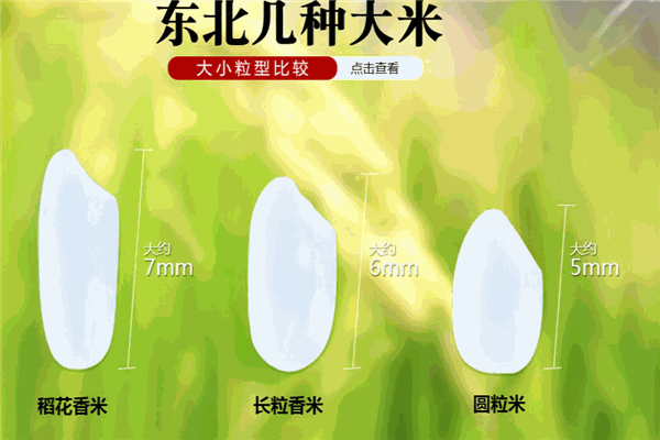 嘉禾米業(yè)