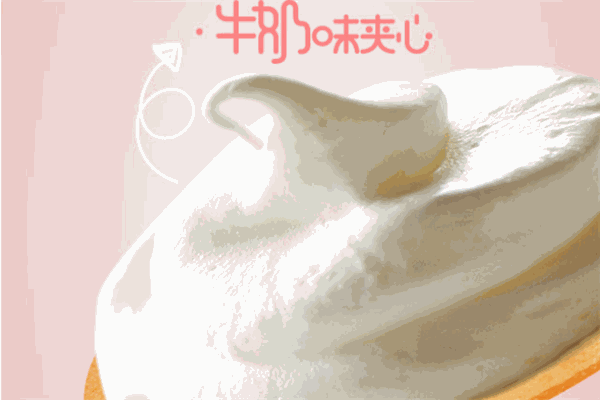 高高食品加盟