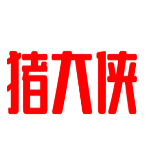 豬大俠煲仔飯加盟