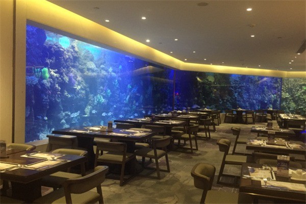 水野水族主題餐廳加盟