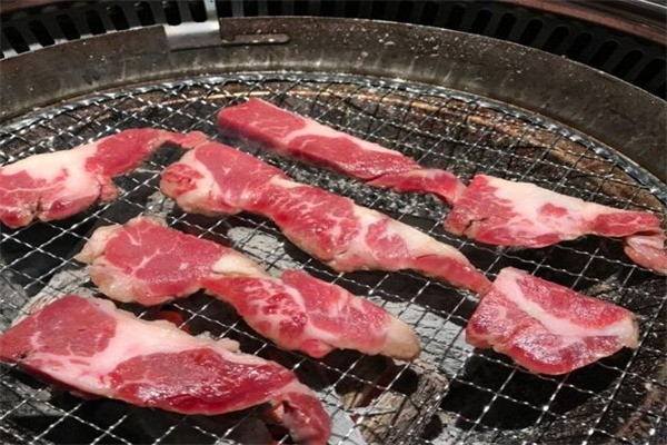 肥豬憨牛