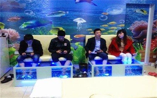 親吻魚足療