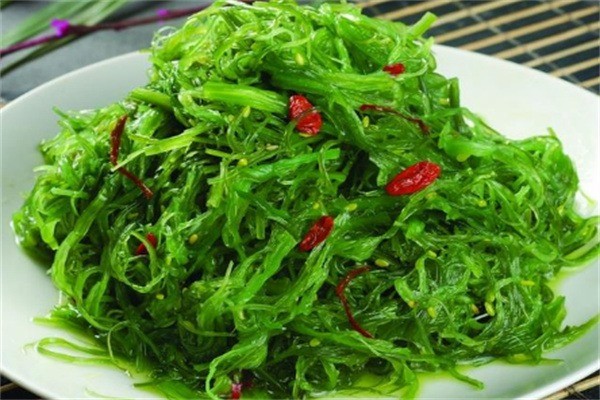 康樂園野菜加盟
