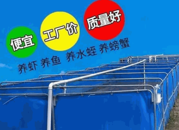 水蛭養(yǎng)殖