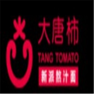 大唐柿·新派熬汁面加盟
