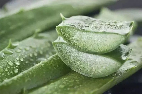 蘆薈鮮汁面膜