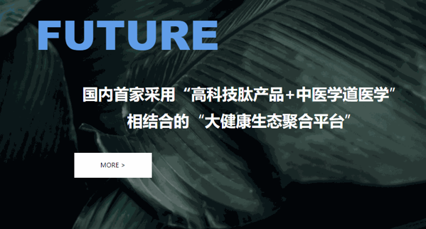 小分子肽