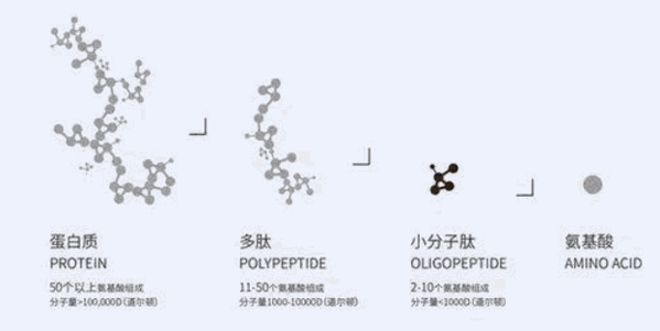 唐肽養(yǎng)生