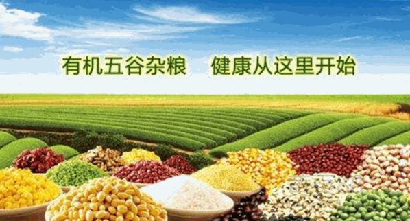 綠鄉(xiāng)食品