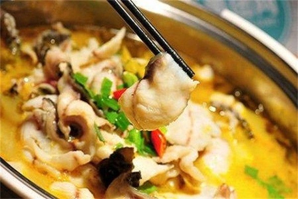 漁樂西游人氣酸菜魚加盟