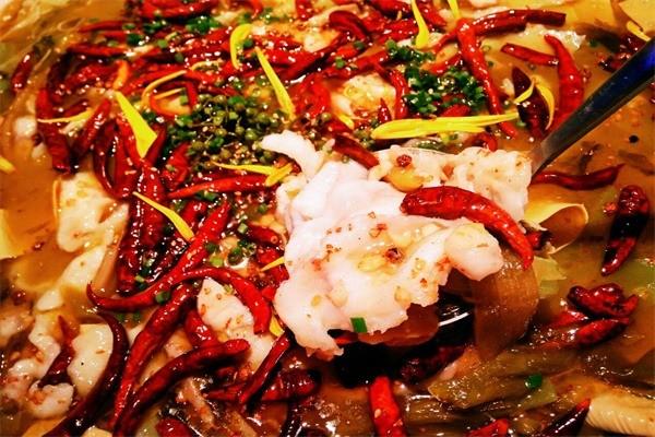 漁樂西游人氣酸菜魚加盟