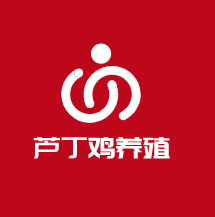 蘆丁雞養(yǎng)殖加盟