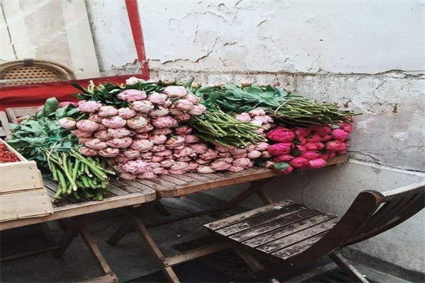 心情不錯花店加盟