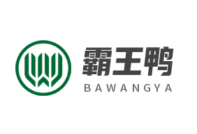 霸王鴨加盟