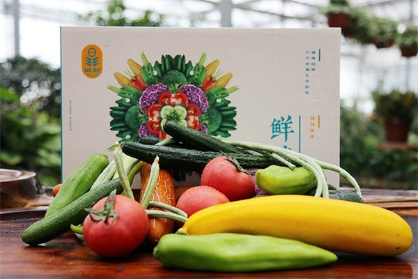 大陽(yáng)光食品蔬菜加盟