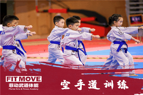 菲動(dòng)武道體能加盟