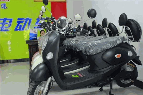 綠風(fēng)電動車加盟