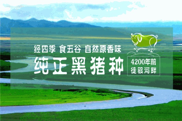 徒河黑豬加盟