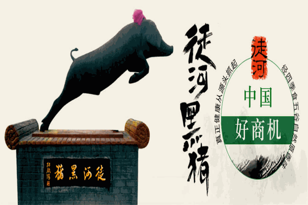 徒河黑豬加盟