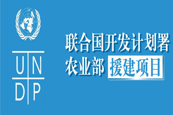 徒河黑豬加盟