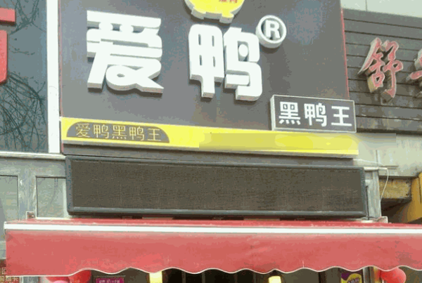 愛鴨黑鴨王