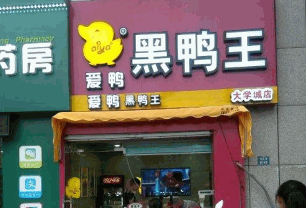 愛鴨黑鴨王