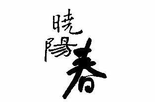 曉陽(yáng)春茶葉加盟