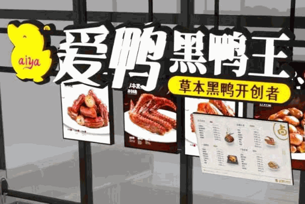 愛(ài)鴨黑鴨王